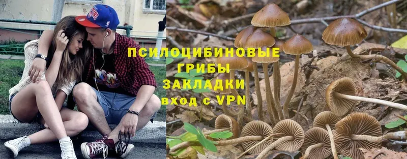 Псилоцибиновые грибы ЛСД  Кировград 